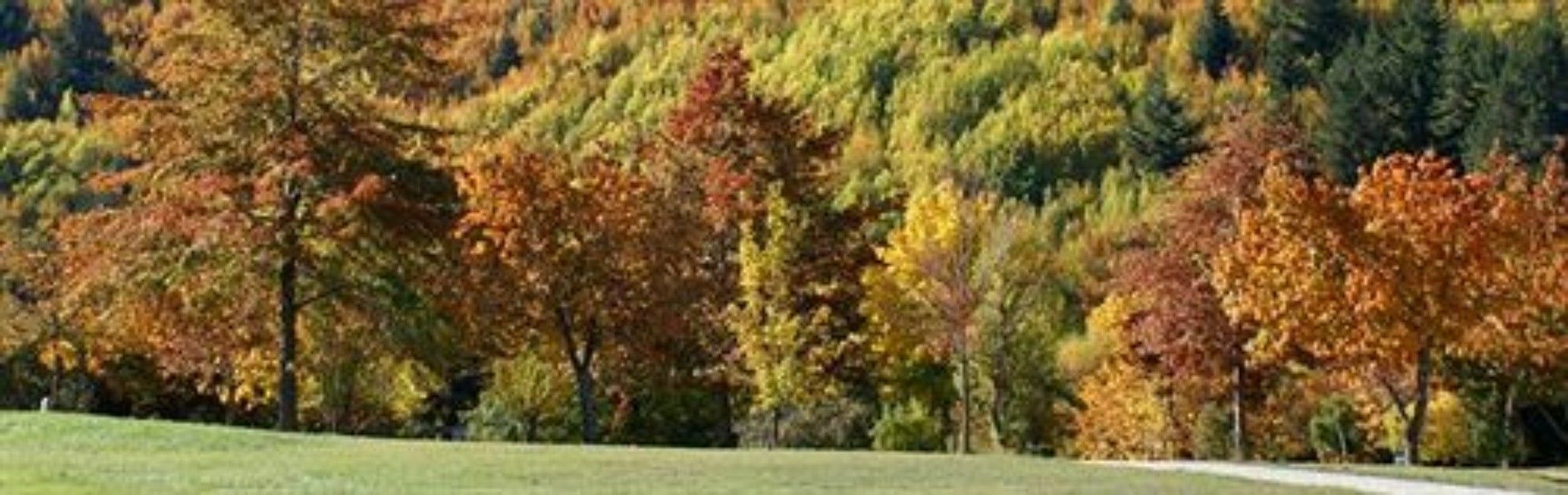 Hampshire Holiday Parks - Arrowtown Zewnętrze zdjęcie